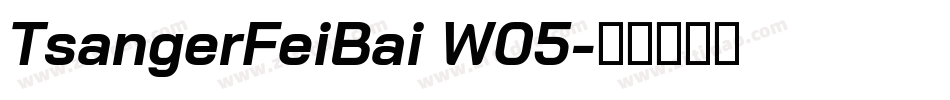 TsangerFeiBai W05字体转换